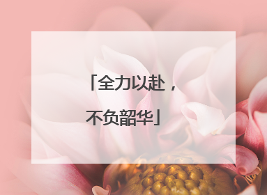 全力以赴，不负韶华