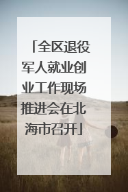 全区退役军人就业创业工作现场推进会在北海市召开