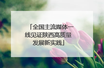 全国主流媒体一线见证陕西高质量发展新实践
