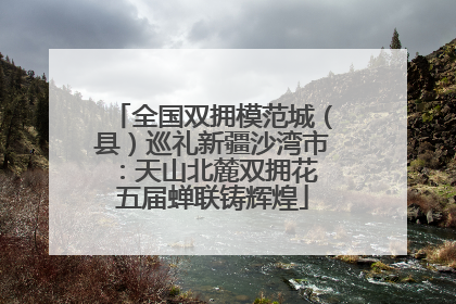 全国双拥模范城（县）巡礼新疆沙湾市：天山北麓双拥花 五届蝉联铸辉煌