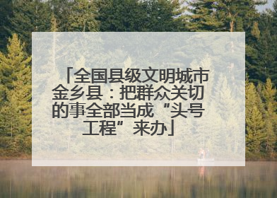 全国县级文明城市金乡县：把群众关切的事全部当成“头号工程”来办