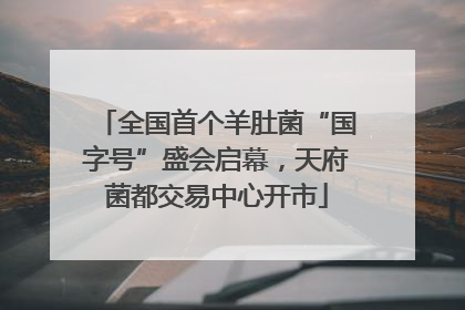全国首个羊肚菌“国字号”盛会启幕，天府菌都交易中心开市