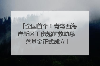 全国首个！青岛西海岸新区工伤超前救助慈善基金正式成立