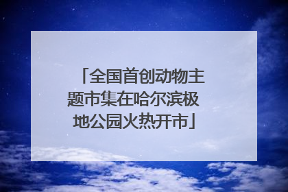 全国首创动物主题市集在哈尔滨极地公园火热开市