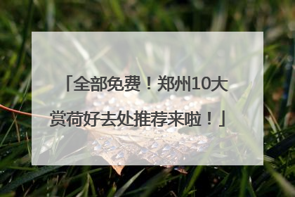 全部免费！郑州10大赏荷好去处推荐来啦！