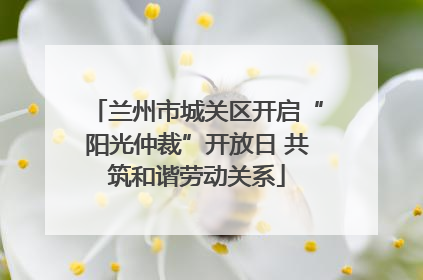 兰州市城关区开启“阳光仲裁”开放日 共筑和谐劳动关系