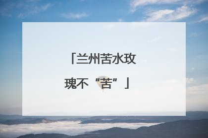 兰州苦水玫瑰不“苦”