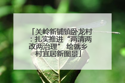 关岭新铺镇卧龙村：扎实推进“两清两改两治理” 绘就乡村宜居新图景