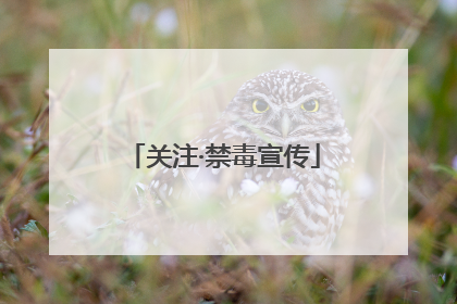 关注·禁毒宣传