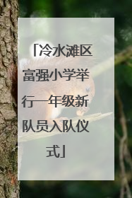冷水滩区富强小学举行一年级新队员入队仪式