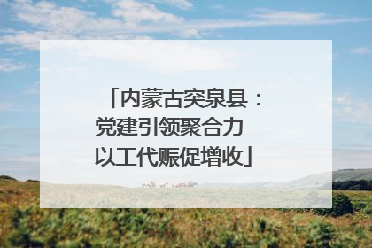 内蒙古突泉县：党建引领聚合力 以工代赈促增收