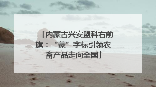 内蒙古兴安盟科右前旗：“蒙”字标引领农畜产品走向全国