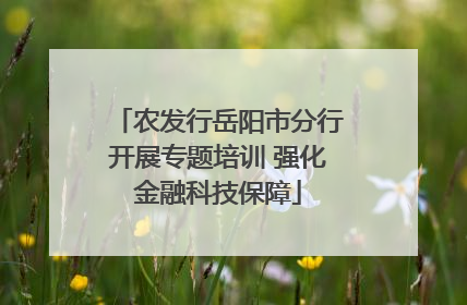 农发行岳阳市分行开展专题培训 强化金融科技保障