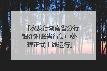 农发行湖南省分行银企对账省行集中处理正式上线运行