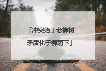 冲突始于老柳树 矛盾化于柳荫下