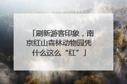 刷新游客印象，南京红山森林动物园凭什么这么“红”