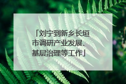 刘宁到新乡长垣市调研产业发展、基层治理等工作