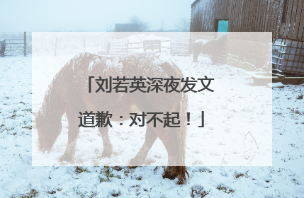 刘若英深夜发文道歉：对不起！