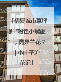 初夏城市草坪现“粉色小螺旋”，竟是兰花？ | 小叶子沪花记