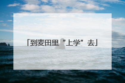 到麦田里“上学”去