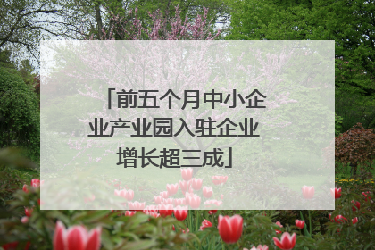 前五个月中小企业产业园入驻企业增长超三成