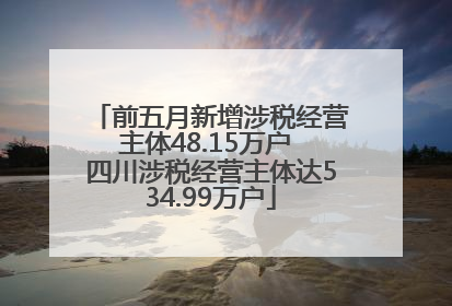 前五月新增涉税经营主体48.15万户 四川涉税经营主体达534.99万户
