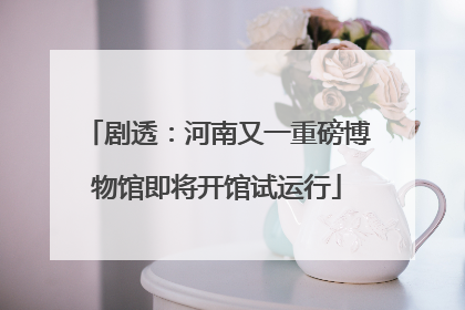 剧透：河南又一重磅博物馆即将开馆试运行