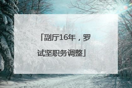 副厅16年，罗试坚职务调整