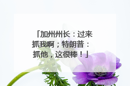 加州州长：过来抓我啊；特朗普：抓他，这很棒！