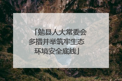 勉县人大常委会多措并举筑牢生态环境安全底线