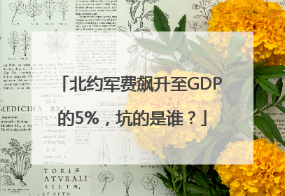 北约军费飙升至GDP的5%，坑的是谁？