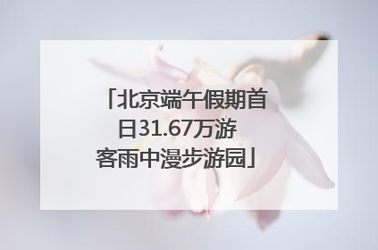北京端午假期首日31.67万游客雨中漫步游园