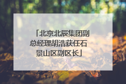 北京北辰集团副总经理胡浩获任石景山区副区长