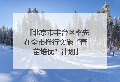 北京市丰台区率先在全市推行实施“青苗培优”计划