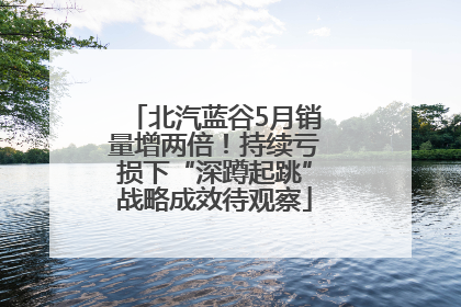 北汽蓝谷5月销量增两倍！持续亏损下“深蹲起跳”战略成效待观察