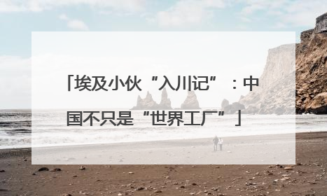 埃及小伙“入川记”：中国不只是“世界工厂”