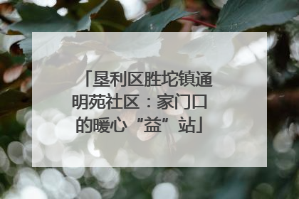 垦利区胜坨镇通明苑社区：家门口的暖心“益”站