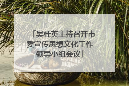 吴桂英主持召开市委宣传思想文化工作领导小组会议