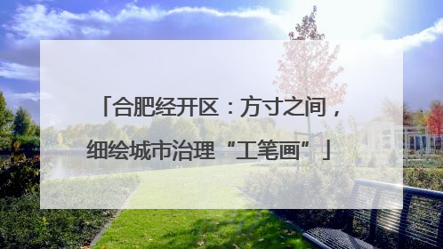 合肥经开区：方寸之间，细绘城市治理“工笔画”