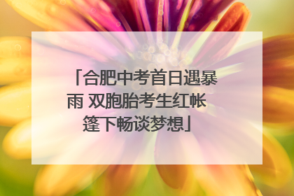 合肥中考首日遇暴雨 双胞胎考生红帐篷下畅谈梦想