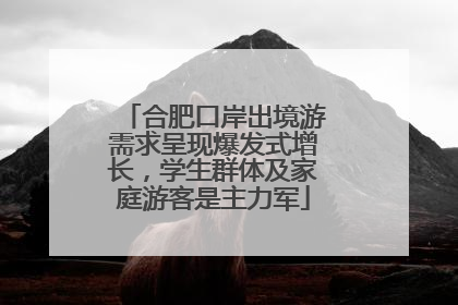 合肥口岸出境游需求呈现爆发式增长，学生群体及家庭游客是主力军
