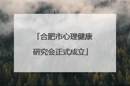 合肥市心理健康研究会正式成立