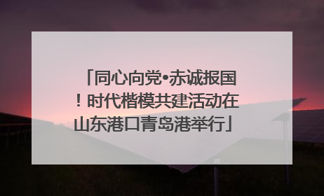 同心向党•赤诚报国！时代楷模共建活动在山东港口青岛港举行