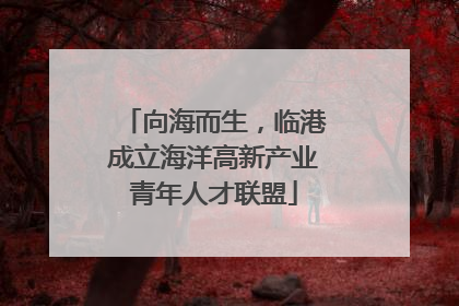 向海而生，临港成立海洋高新产业青年人才联盟