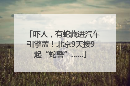 吓人，有蛇藏进汽车引擎盖！北京9天接9起“蛇警”……