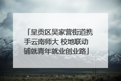 呈贡区吴家营街道携手云南师大 校地联动铺就青年就业创业路