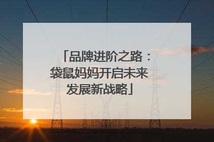 品牌进阶之路：袋鼠妈妈开启未来发展新战略