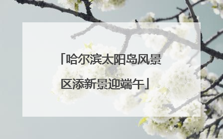 哈尔滨太阳岛风景区添新景迎端午