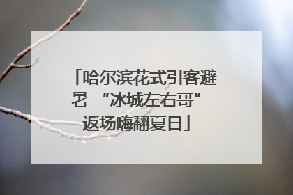 哈尔滨花式引客避暑 “冰城左右哥”返场嗨翻夏日