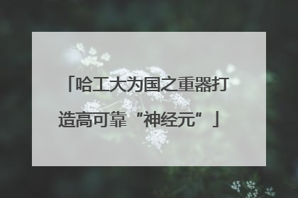哈工大为国之重器打造高可靠“神经元”
